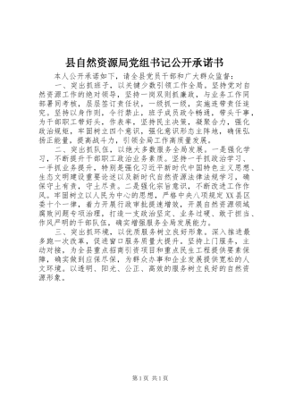 县自然资源局党组书记公开承诺书