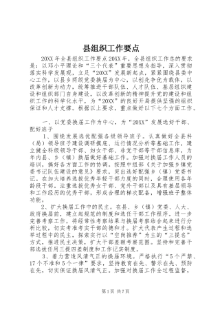 县组织工作要点