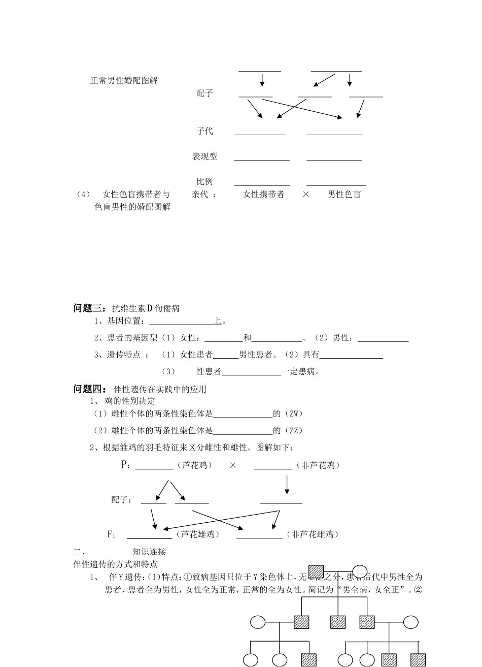 伴性遗传(导学案)_第2页