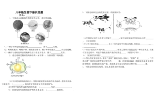 八年级生物下册识图题