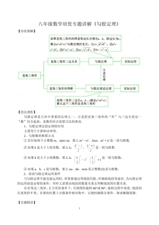 八年级数学培优专题讲解《勾股定理》