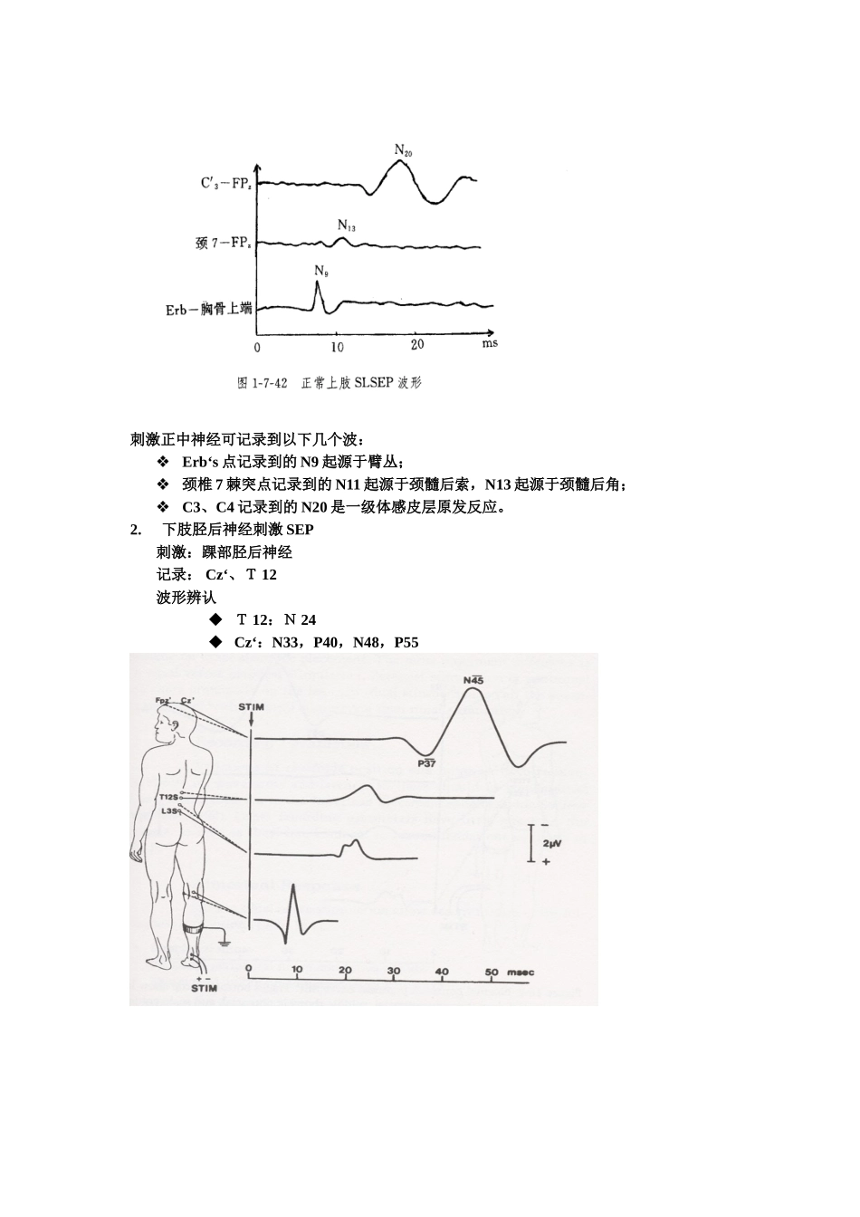 体感诱发电位_第2页