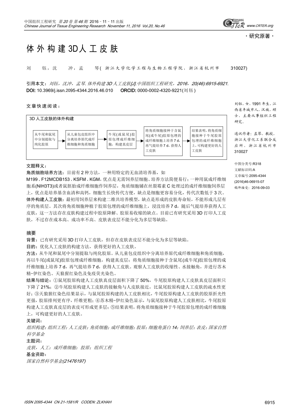 体外构建3D人工皮肤_第1页