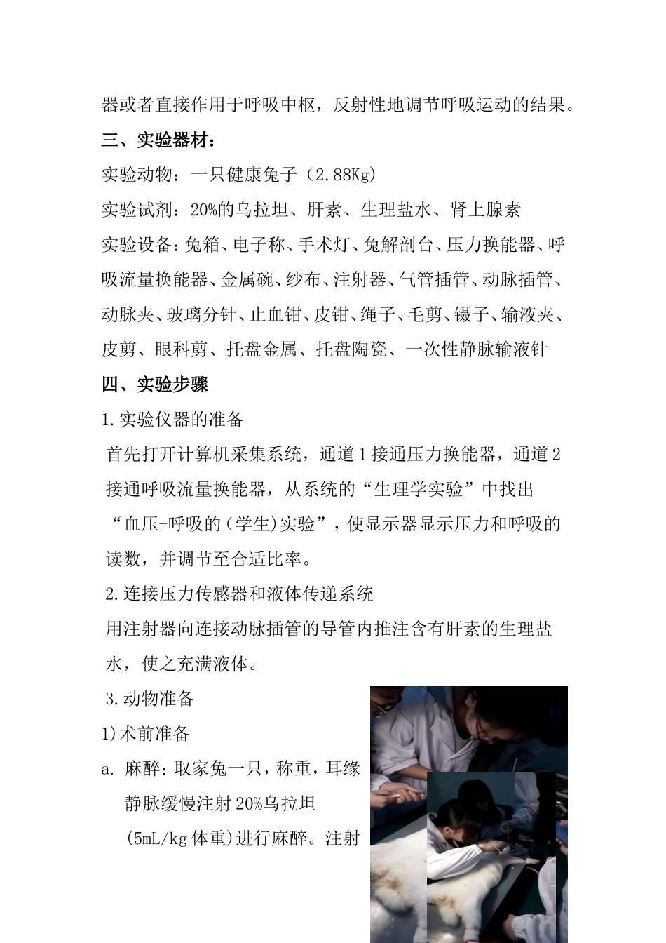 兔子实验报告-15154130_第2页