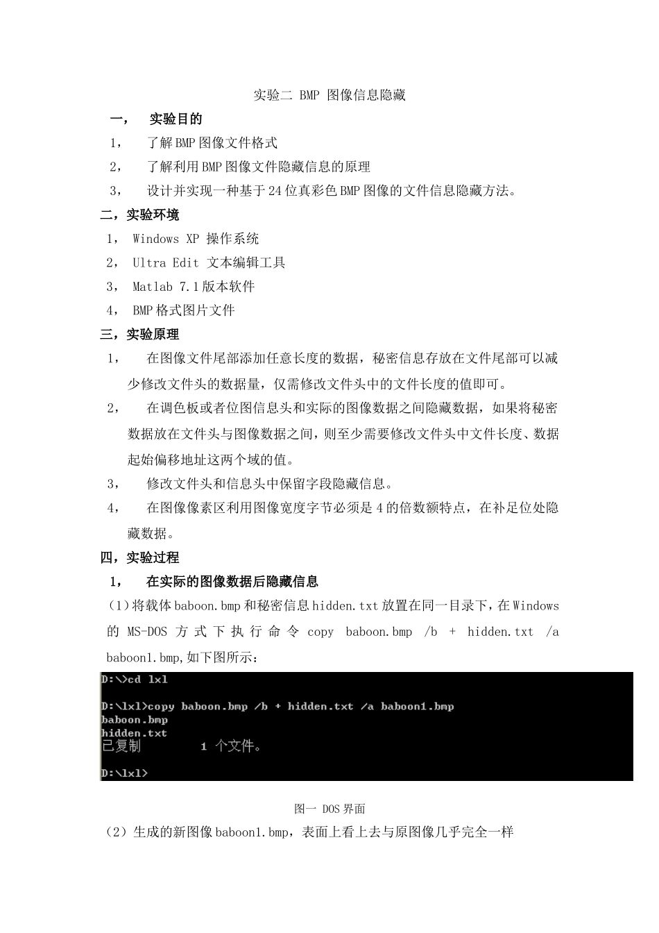 信息隐藏-实验二-BMP-图像信息隐藏_第1页