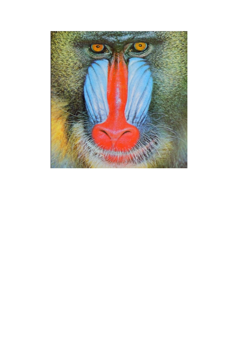 信息隐藏-实验二-BMP-图像信息隐藏_第2页