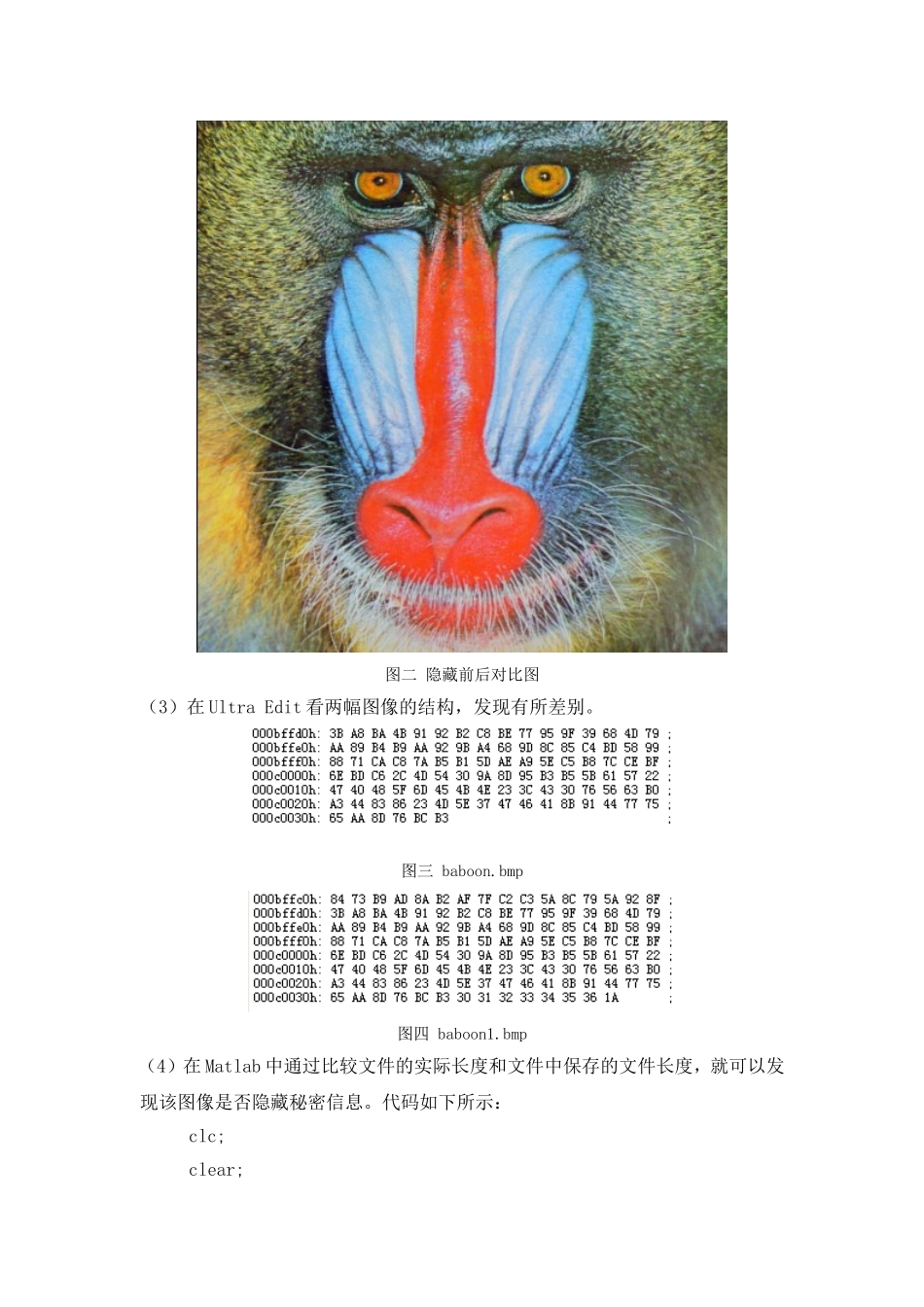 信息隐藏-实验二-BMP-图像信息隐藏_第3页