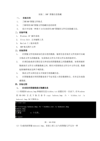 信息隐藏-实验二-BMP-图像信息隐藏