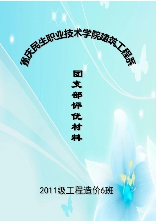 优秀团支部申报材料