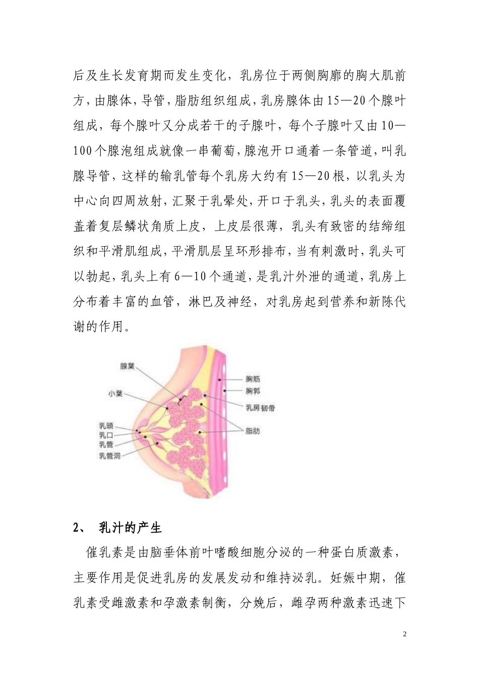 催乳师培训材料_第2页