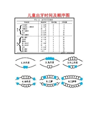 儿童出牙及换牙顺序图-2