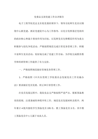 党委总支部党建工作自评报告