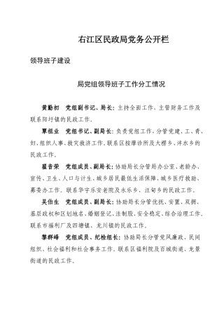 党务公开内容-Word-文档