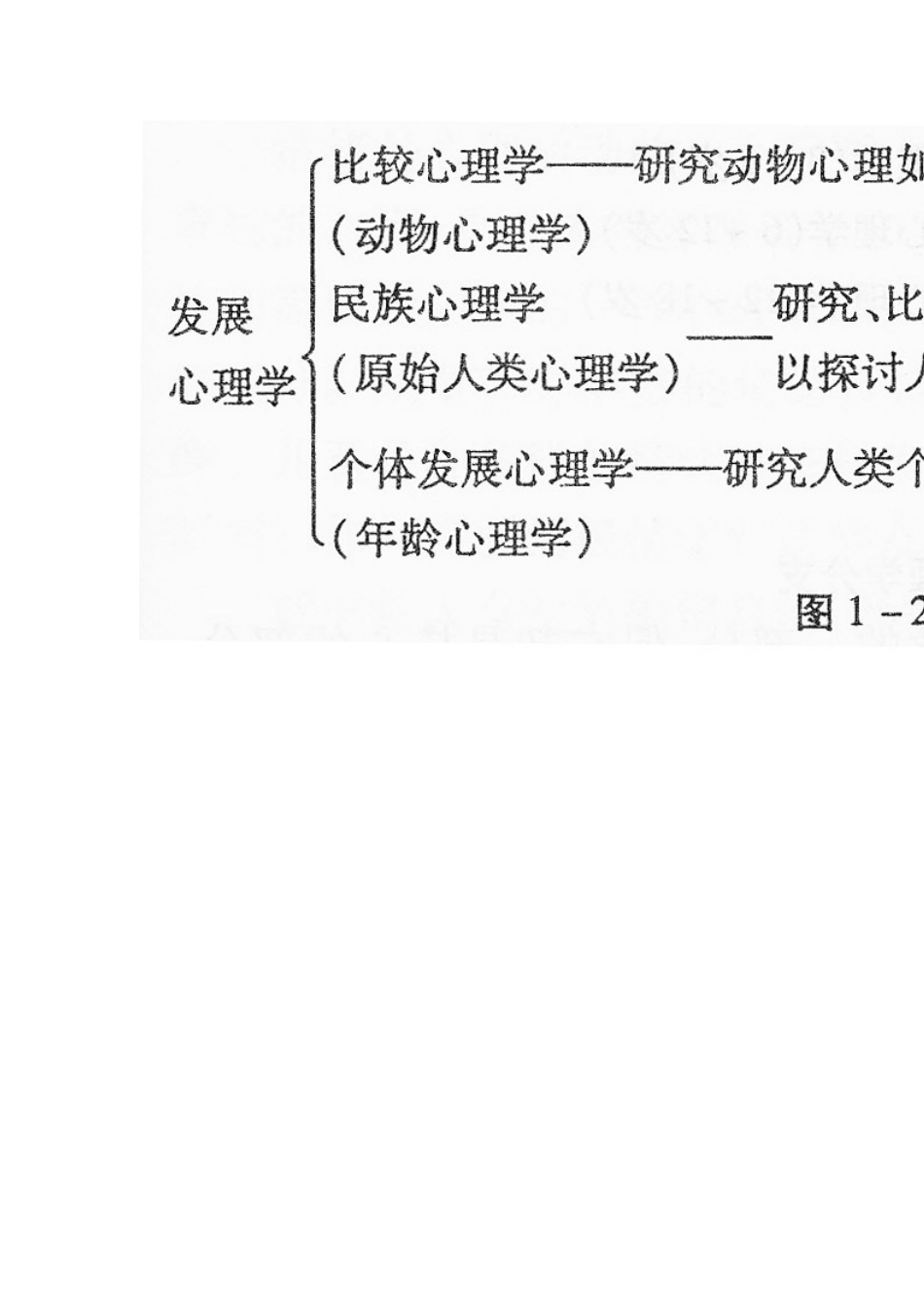 儿童发展心理学知识点总结_第2页