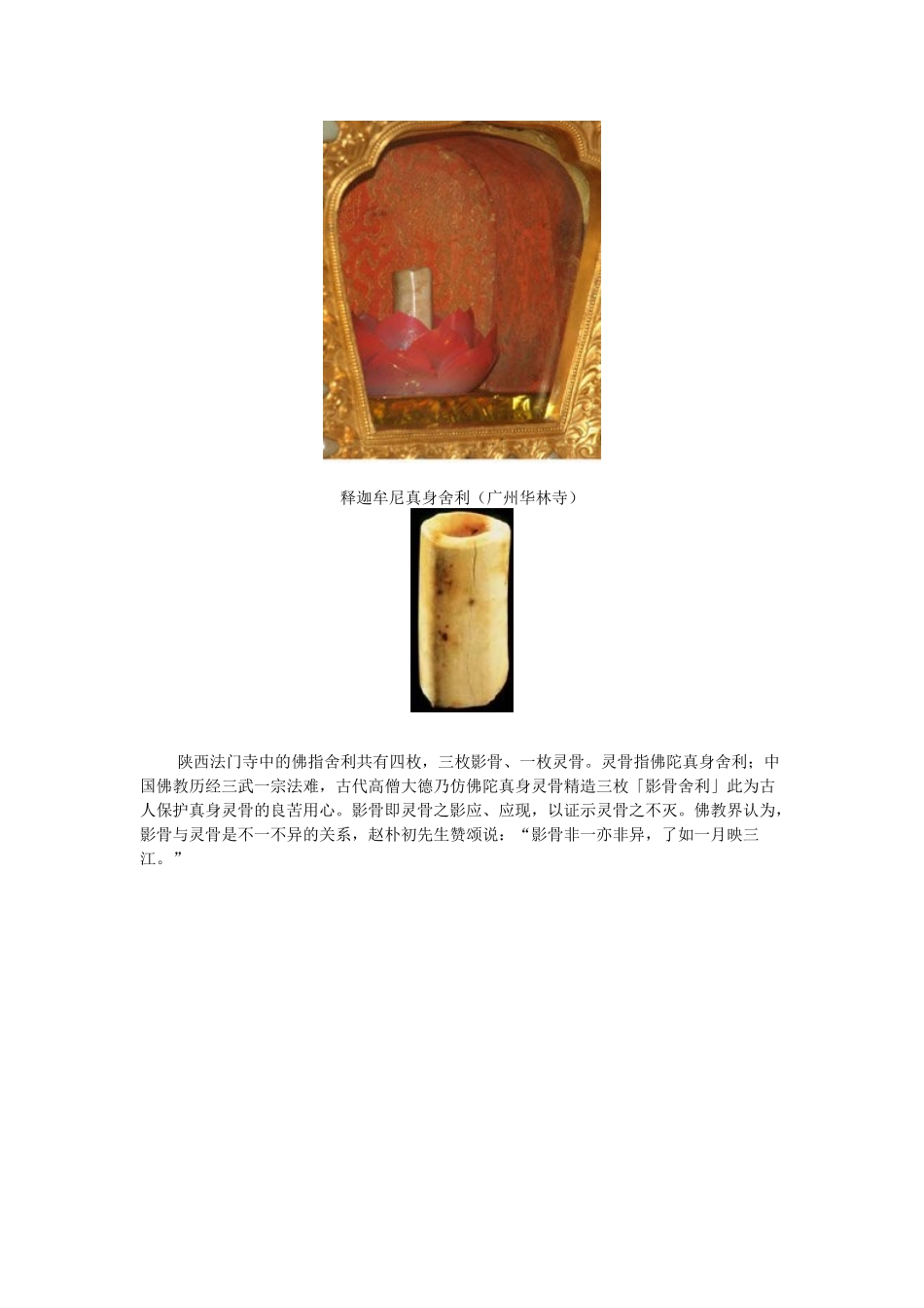 佛祖释迦牟尼的舍利!(组图)_第2页