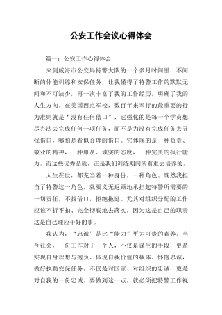 公安工作会议心得体会