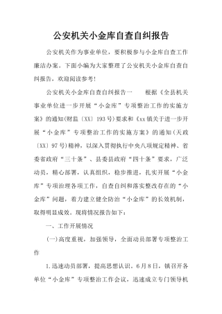 公安机关小金库自查自纠报告