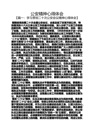 公安精神心得体会