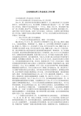 公安局派出所工作总结及工作打算-精选模板