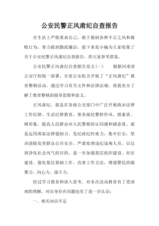 公安民警正风肃纪自查报告