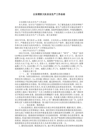 公安消防大队安全生产工作总结-精选模板