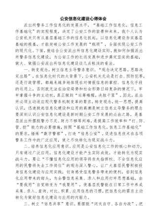 公安信息化建设心得体会