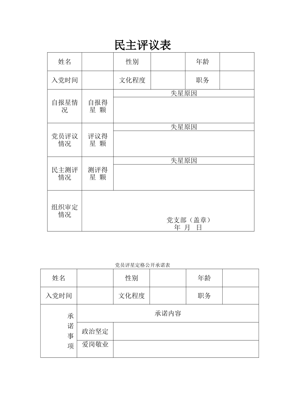 党员评星定格各种表格_第3页