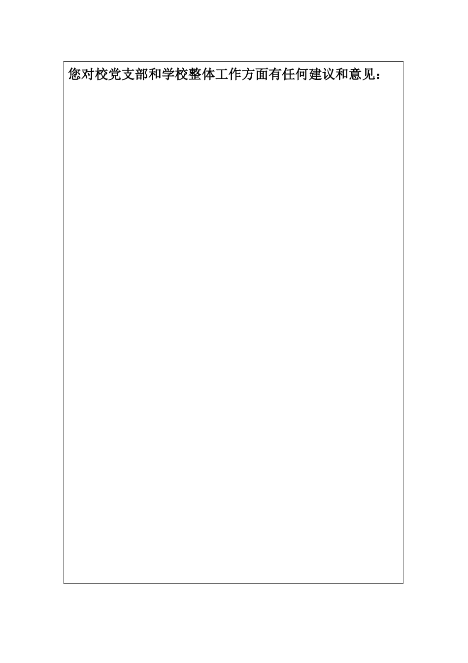 党员征求意见表_第3页