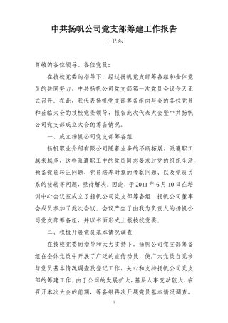 党支部筹备工作报告