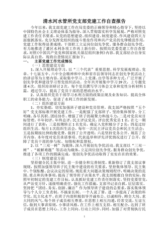 党支部党建工作自查报告