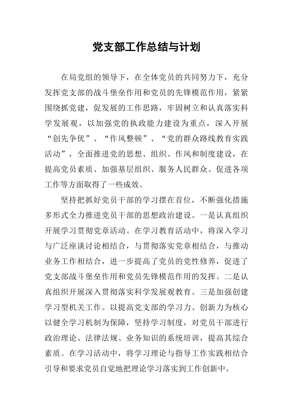 党支部工作总结与计划_第1页