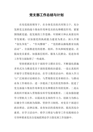 党支部工作总结与计划