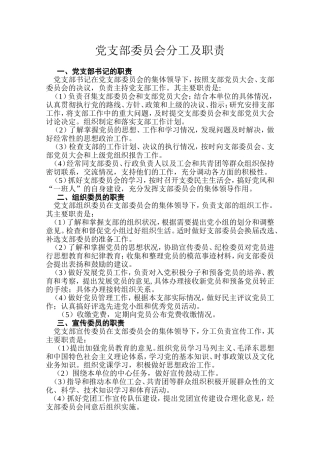 党支部委员会分工及职责
