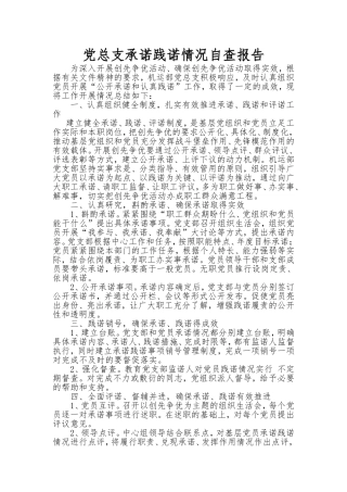 党总支承诺践诺情况自查报告