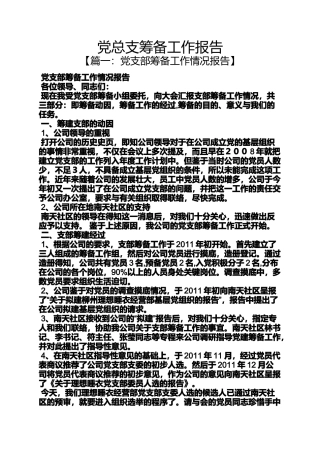 党总支筹备工作报告