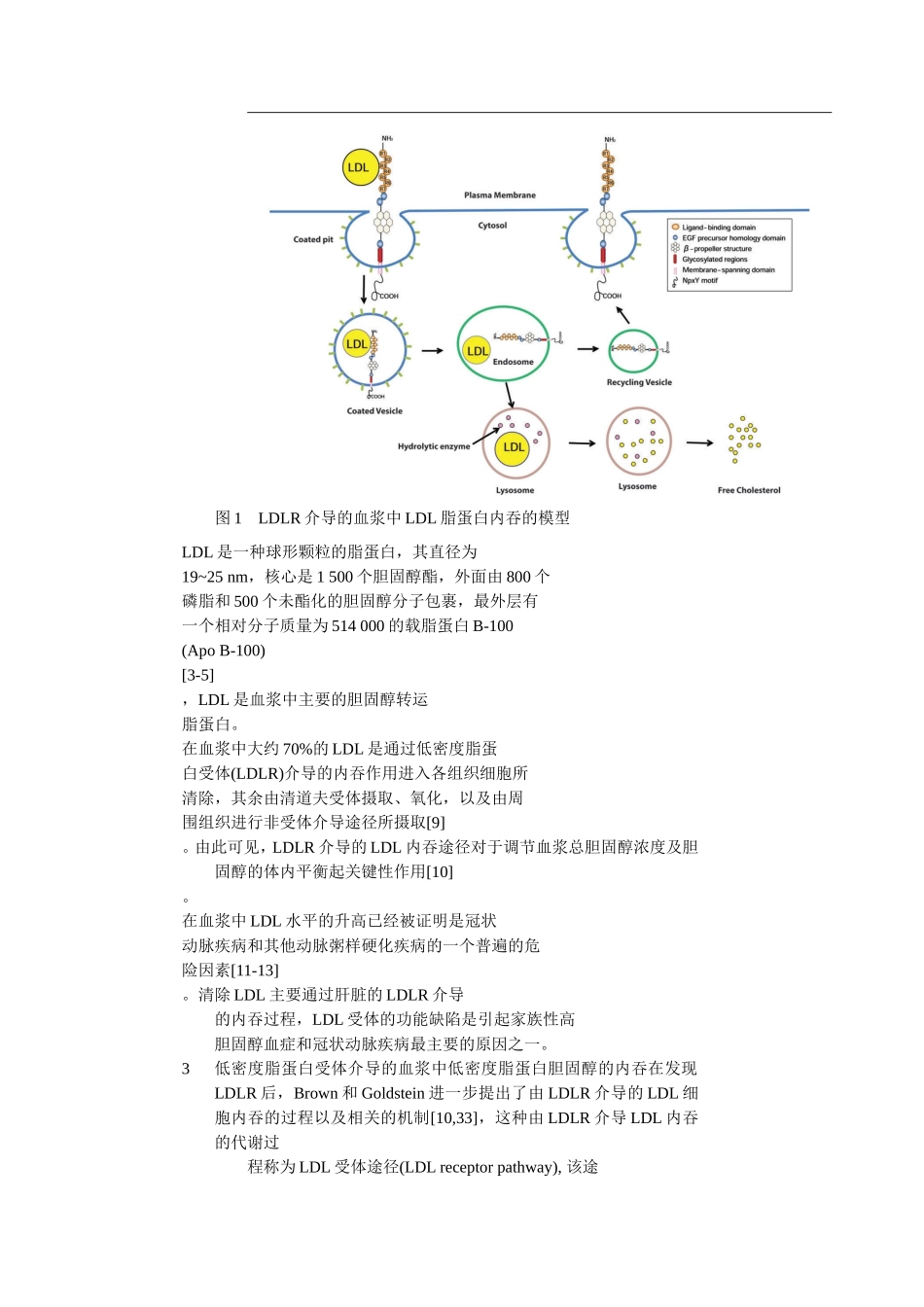 低密度脂蛋白_第2页