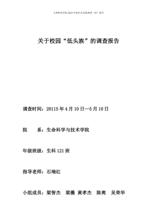 低头族的调查报告