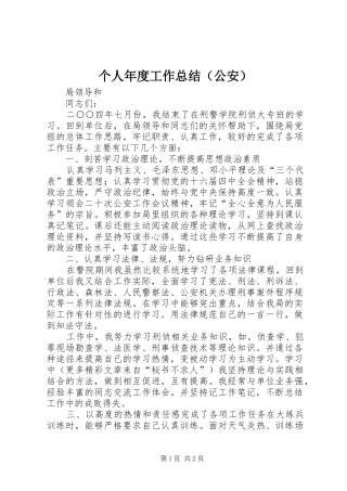 个人年度工作总结（公安）