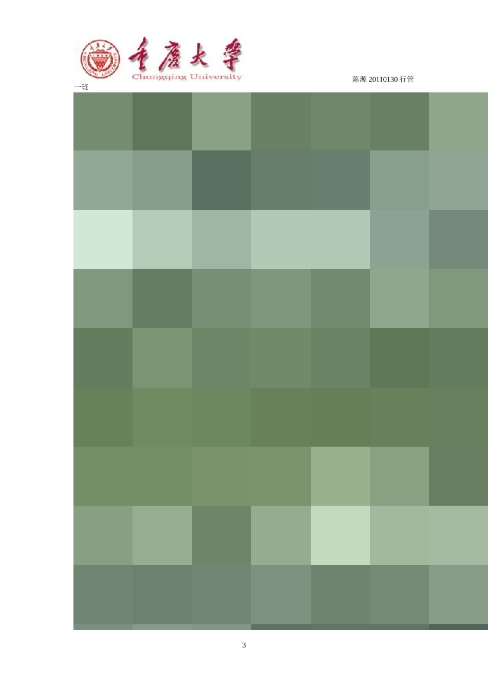 公共危机管理印尼海啸事件MPA案例分析(重庆大学)_第3页