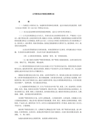 公司财务会计制度及核算办法