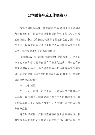 公司财务年度工作总结XX