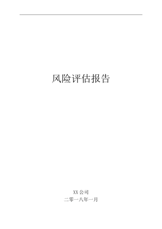 公司风险评估报告