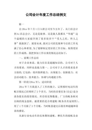 公司会计年度工作总结例文