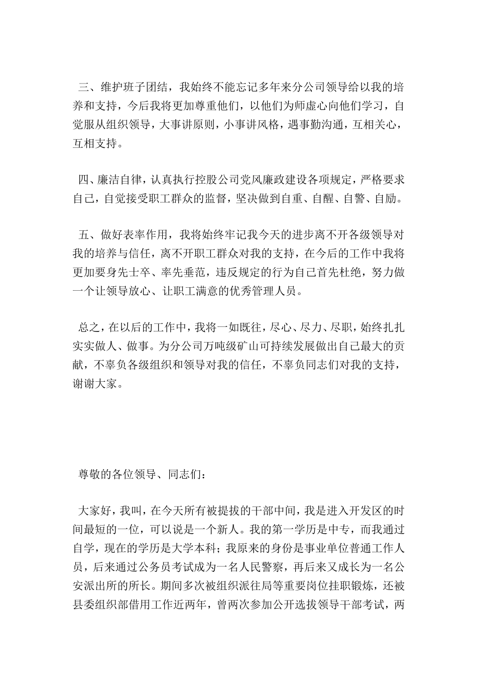 公司副经理就职表态发言稿_第2页