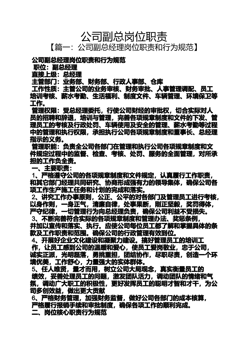 公司副总岗位职责_第1页