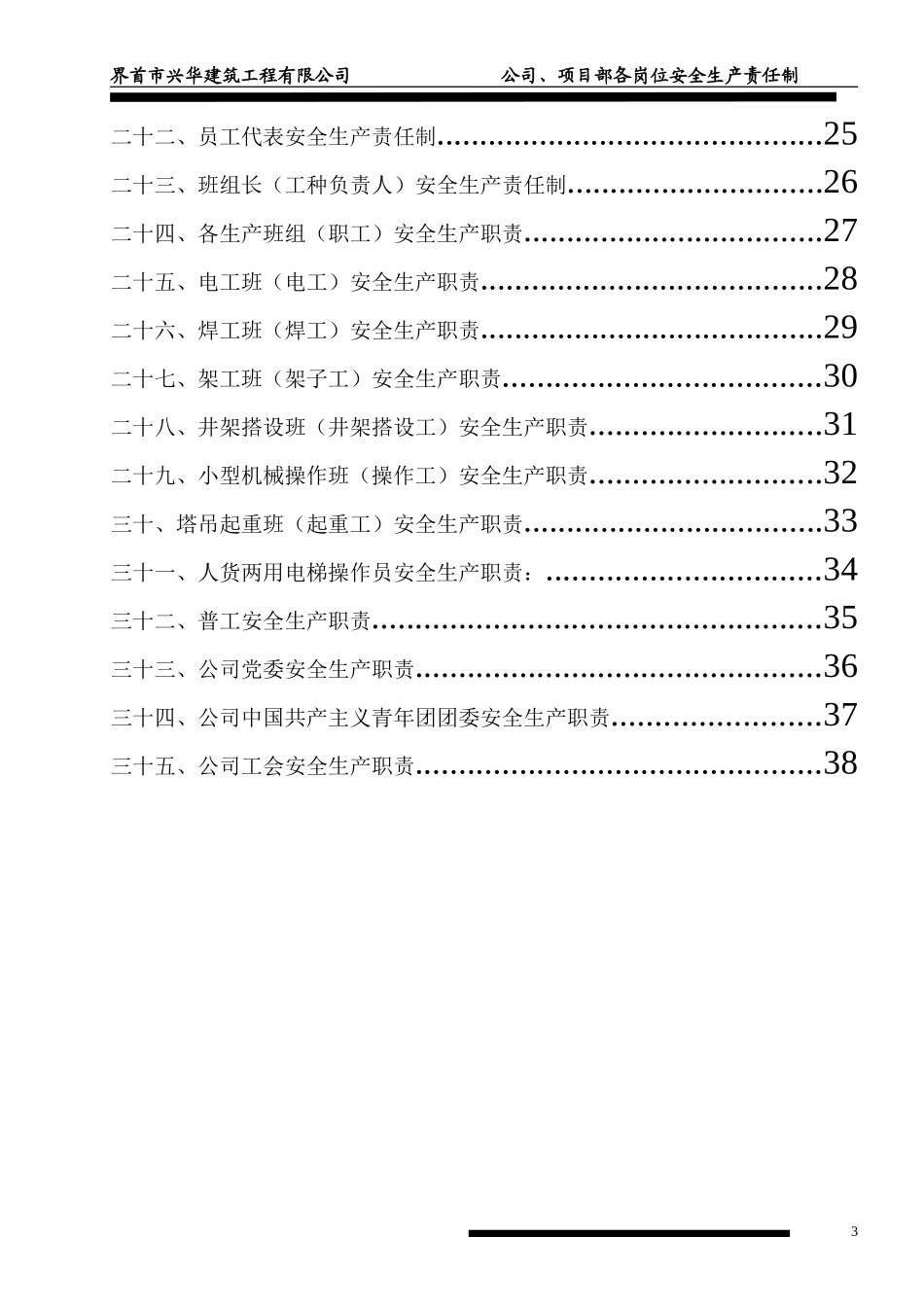 公司、项目部各岗位安全生产责任制_第3页