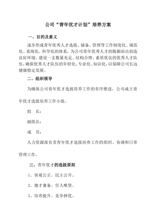 公司“青年优才计划”培养方案