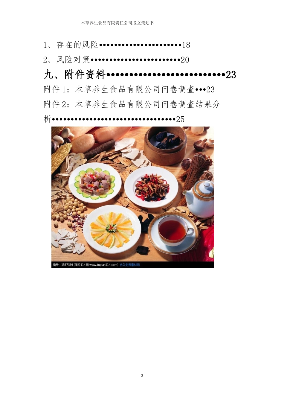 公司成立策划书(范文)_第3页