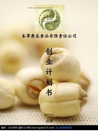 公司成立策划书(范文)