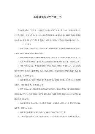 公司各级安全生产责任书